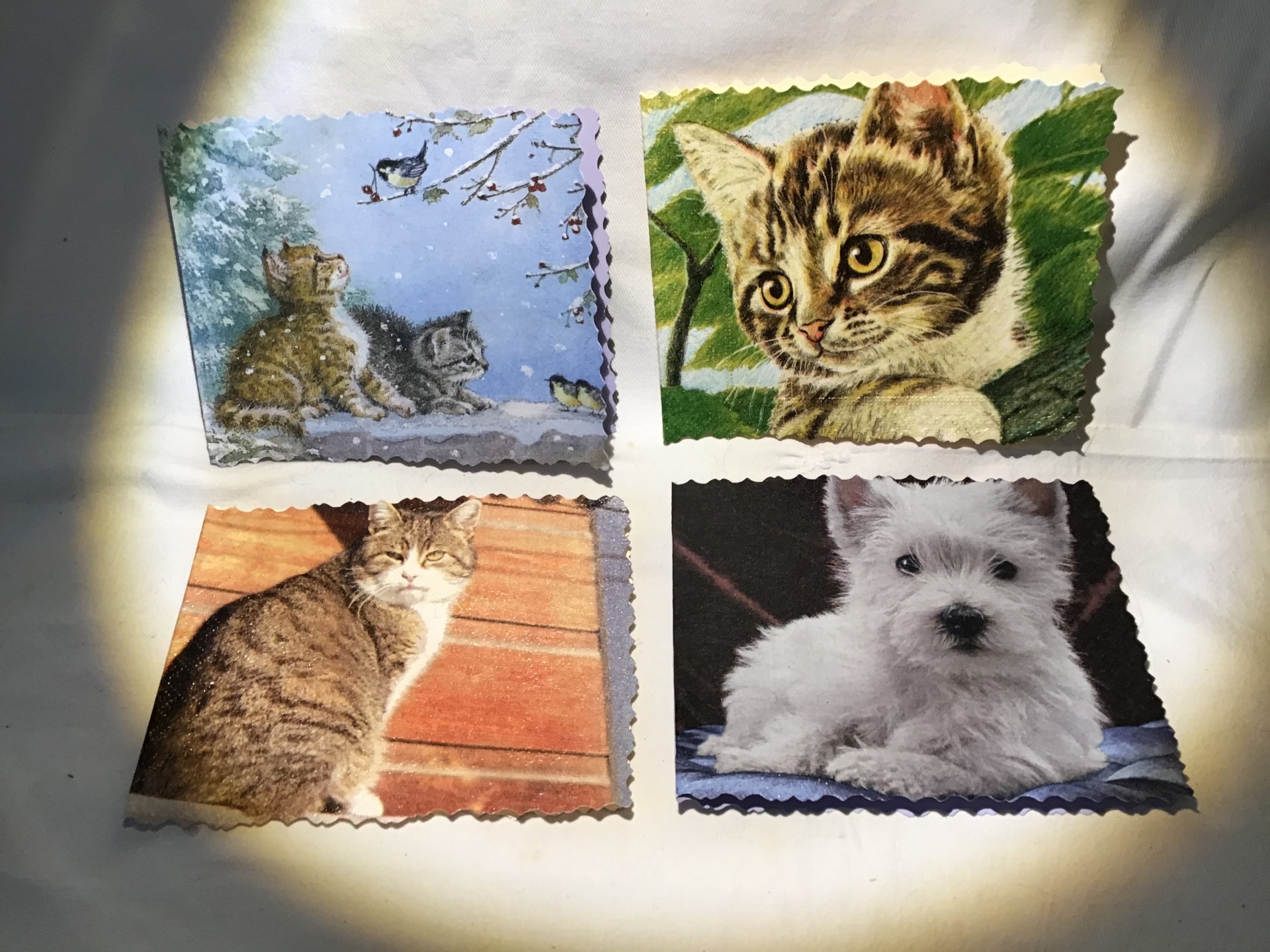 séries de petites cartes ! « Chiens et chats »