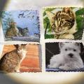 séries de petites cartes ! « Chiens et chats »